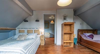 Chambre mansardée aux murs bleu-gris, lit double, étagère en bois brut et parquet